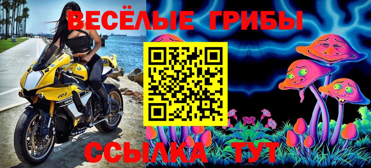 Галлюциногенные грибы Cubensis Ессентуки